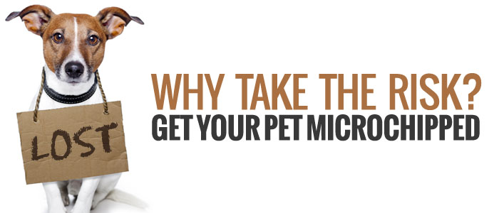 About Microchipping Spay/Neuter Your Pet (SNYP)